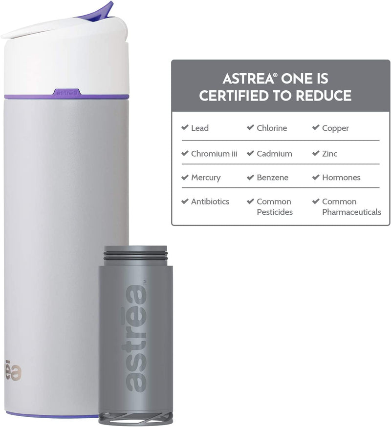 astrea ONE Premium Stainless Steel Filtering Water Bottle - Grey/Purple